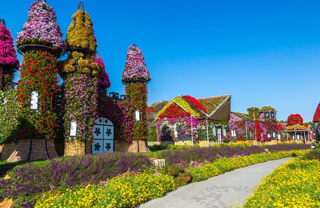 Dubai Miracle Garden