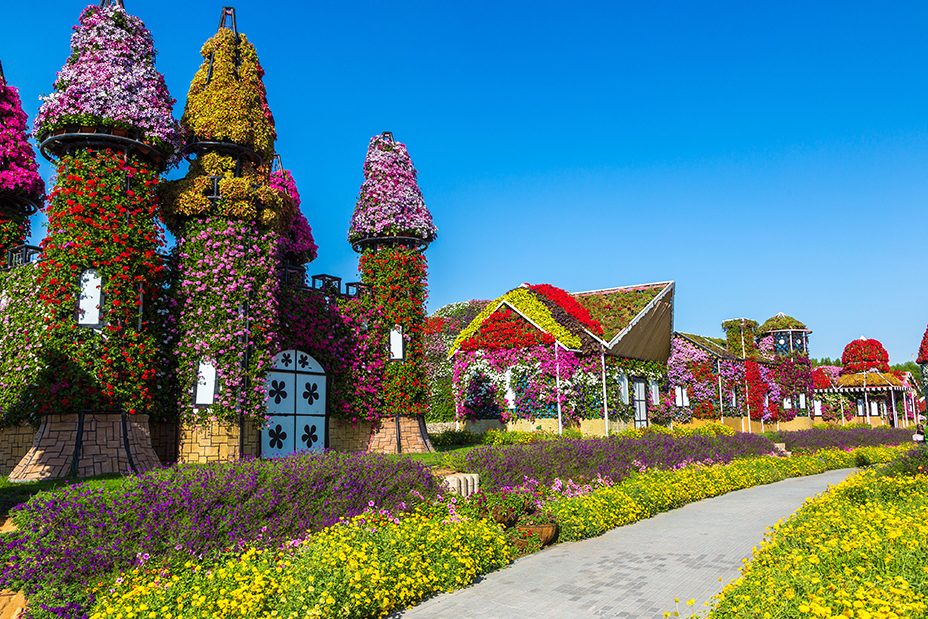 Dubai Miracle Garden Dubai Miracle Garden