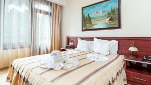 Ami 3*, Băile Felix